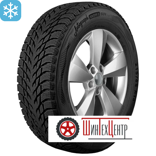 Шины Ikon 255/50 R19 Autograph Snow 3 Suv 107R