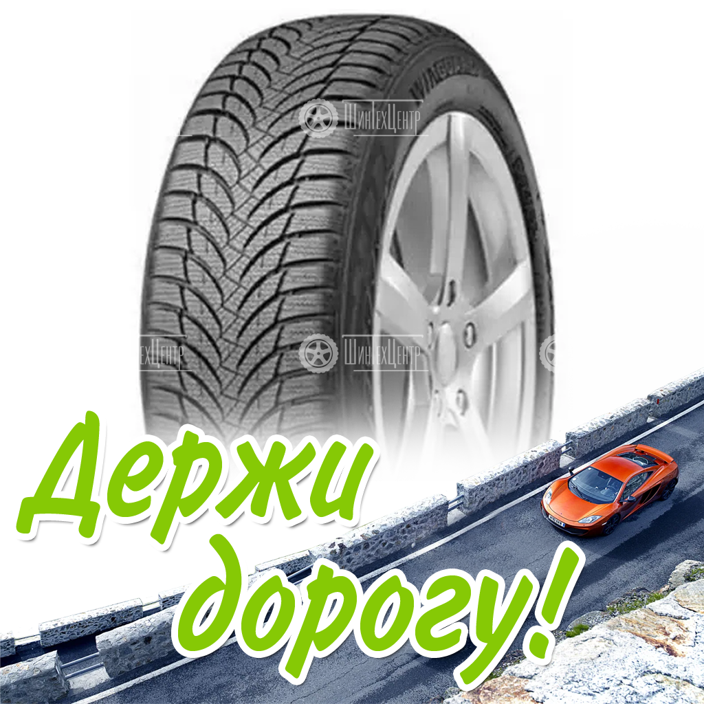 Шина 195/55R16 Nexen Winguard Snow G 87 T (2016) Зимняя для легковых автомобилей и кроссоверов