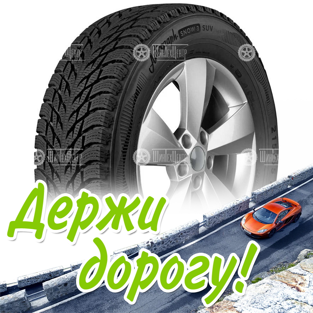 Шины Ikon 215/60 R17 Autograph Snow 3 Suv 100R Зимняя для легковых автомобилей и кроссоверов