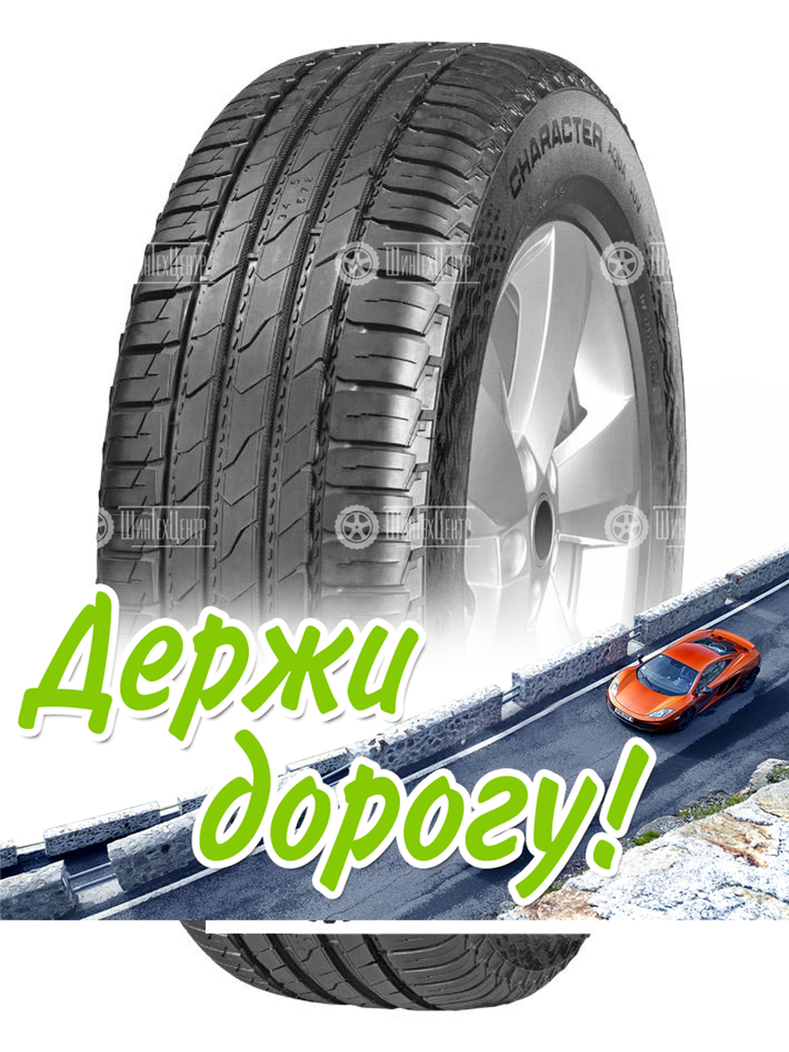 Шина Ikon 225/55 R19 Character Aqua Suv (Nordman S2 Suv) 99V Летняя для легкого авто и кроссоверов