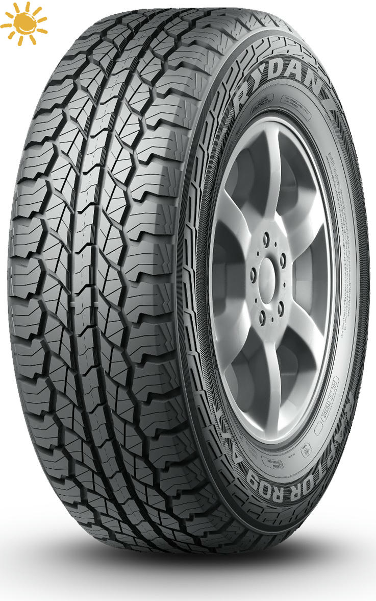 245/65R17 107H Rydanz Raptor R09