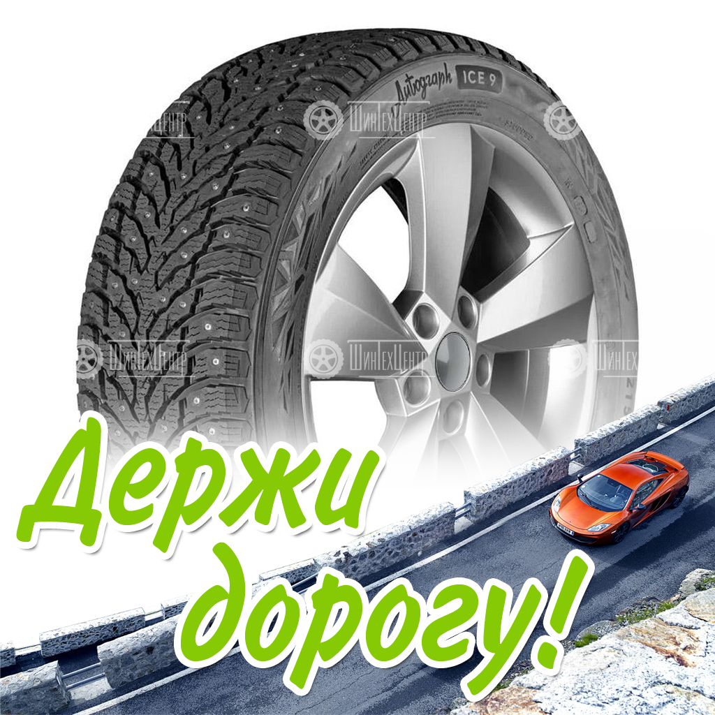 Шины Ikon 205/55 R16 Autograph Ice 9 94T Шипы Зимняя для легковых автомобилей и кроссоверов