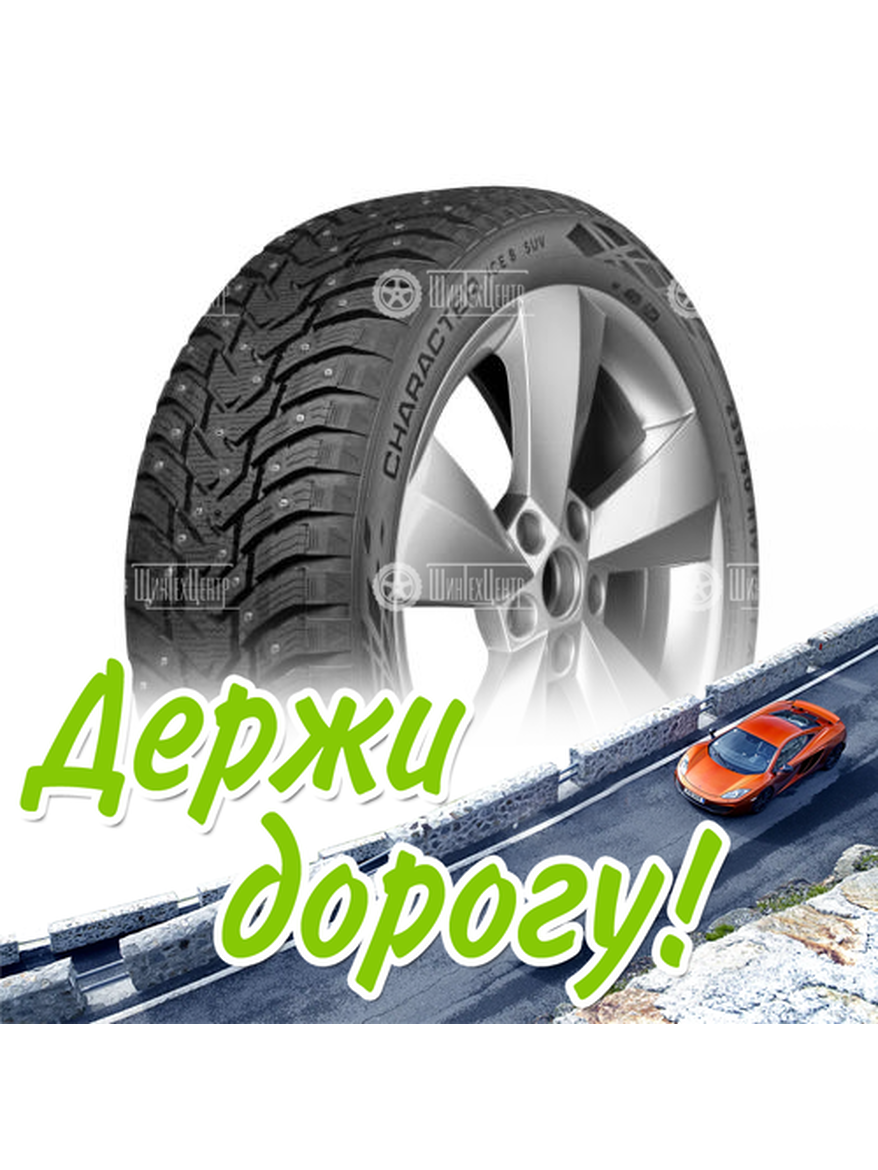 Шина Ikon Tyres 225/55/19 T 103 Ikon Character Ice 8 Suv Xl Зимняя для легкого авто и кроссоверов