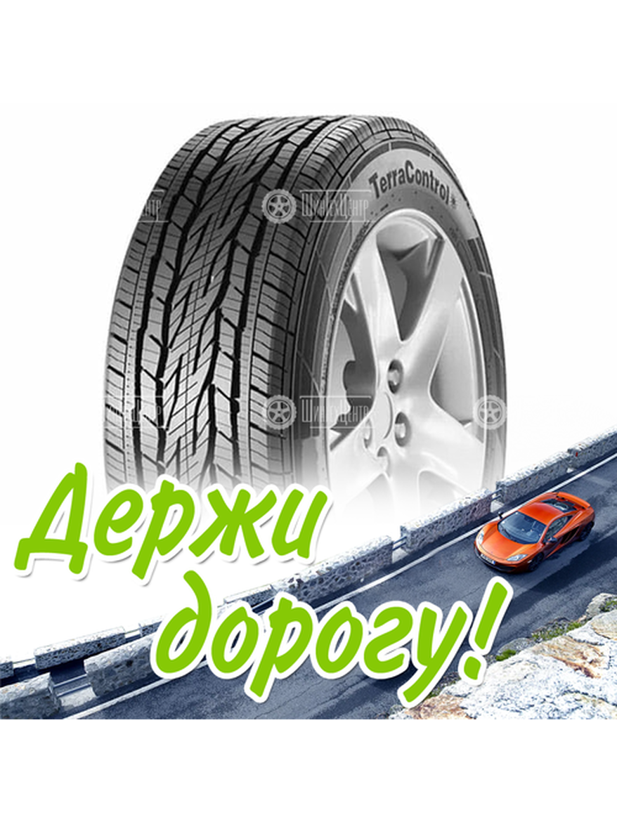 Шина 215/60R17 Meteor Terracontrol 96 H Fr Летняя для легкого авто и кроссоверов