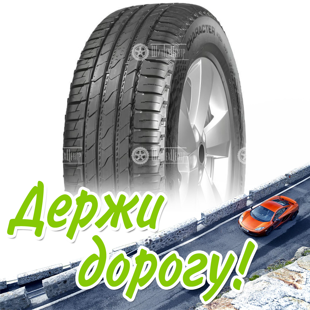 Шина 225/65R17 102H Ikon Tyres Character Aqua Suv Летняя для легковых автомобилей и кроссоверов