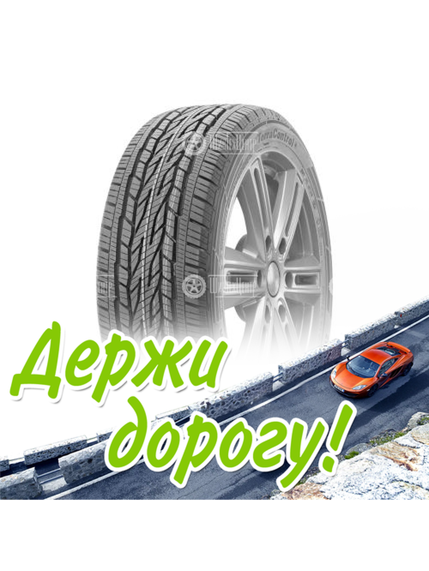 Шина Gislaved 215/50/17 H 91 Terracontrol Летняя для легкого авто и кроссоверов