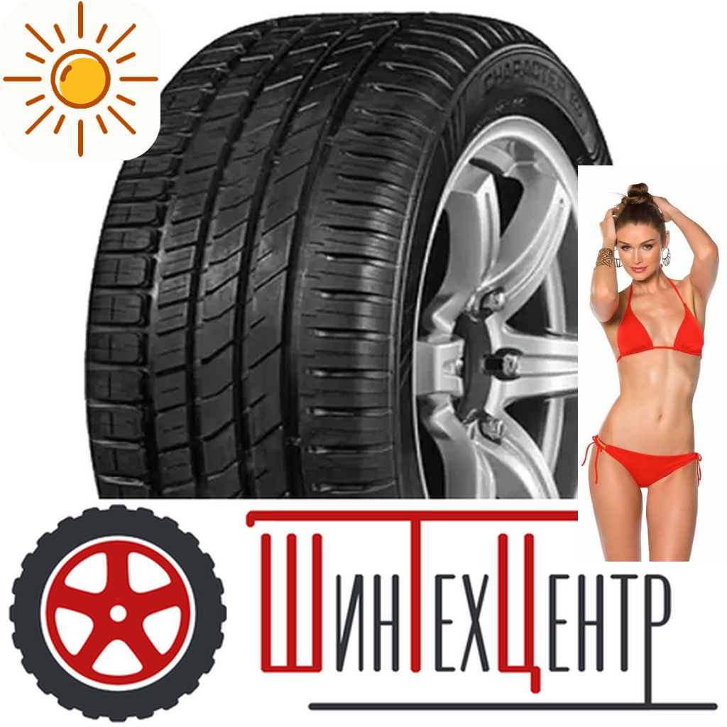 Шины летние   205/55R16 Ikon Tyres Character Eco 91 H для легковых авто