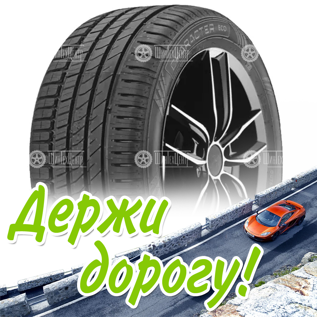 Шина 195/65R15 Ikon Tyres Character Eco 91 H Летняя для легковых автомобилей и кроссоверов
