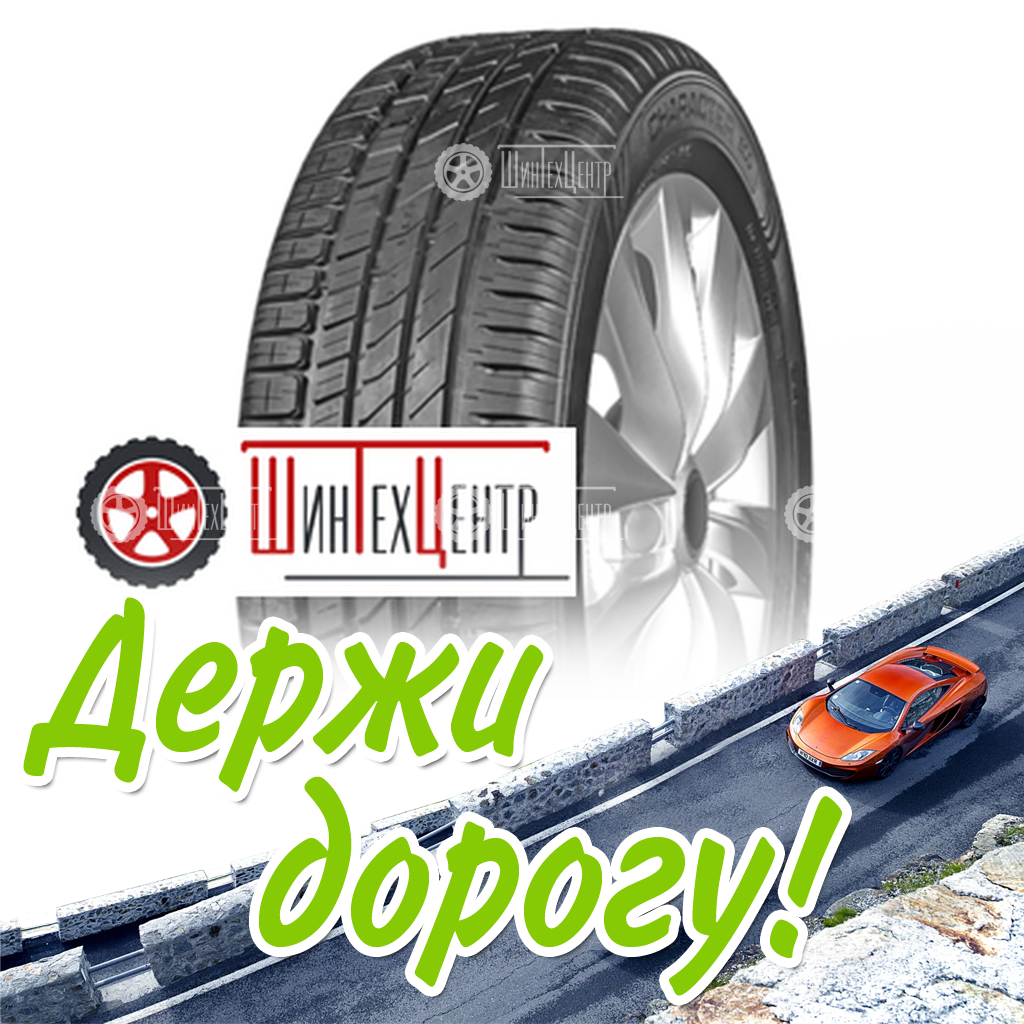 Шина Ikon Tyres 205/55R16 91H Character Eco Летняя для легковых автомобилей и кроссоверов