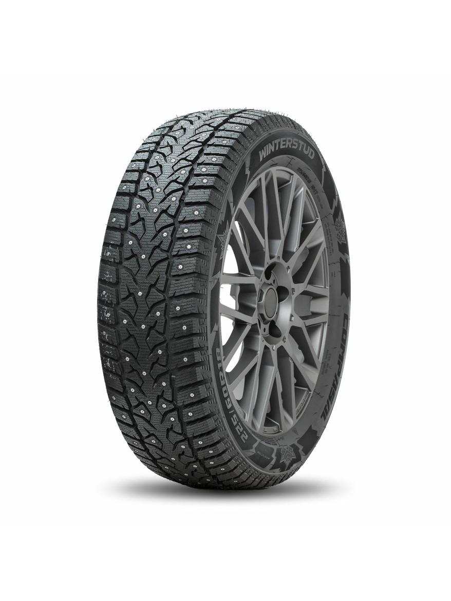 Шины Compasal 225/55 R19 Winter Stud 103T Шипы Зимняя для любых видов автомобилей