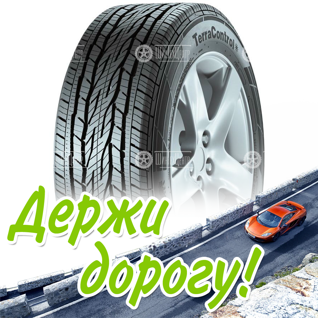 Шина Gislaved 215/50 R17 Terracontrol 91H Летняя для легковых автомобилей и кроссоверов