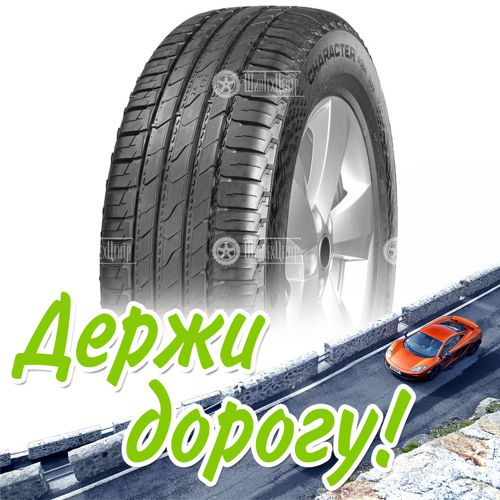 Шина Ikon 235/55 R17 Character Aqua Suv (Nordman S2 Suv) 103V Летняя для легковых автомобилей и кроссоверов