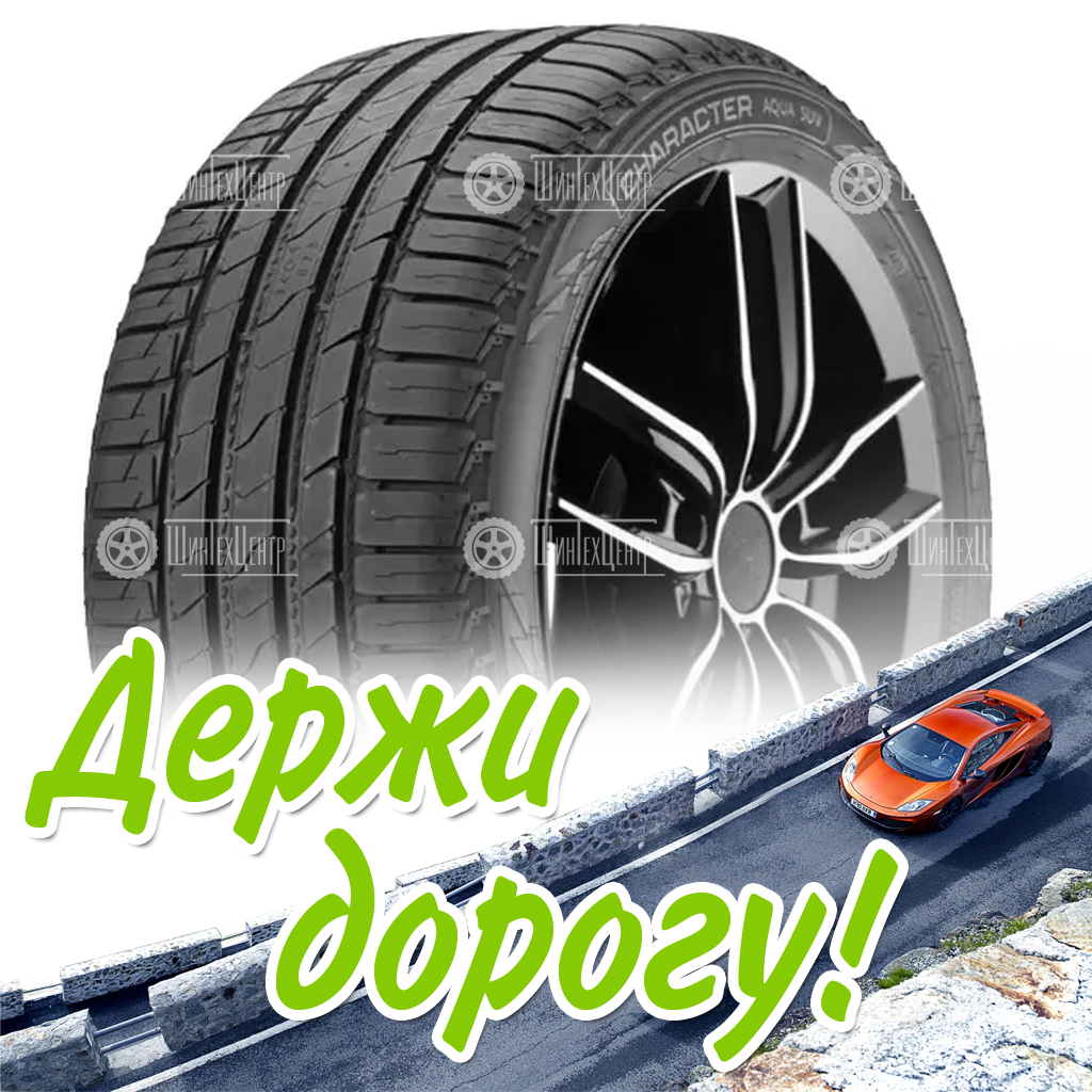 Шина 265/65R17 Ikon Tyres Character Aqua Suv 112 H Летняя для легковых автомобилей и кроссоверов