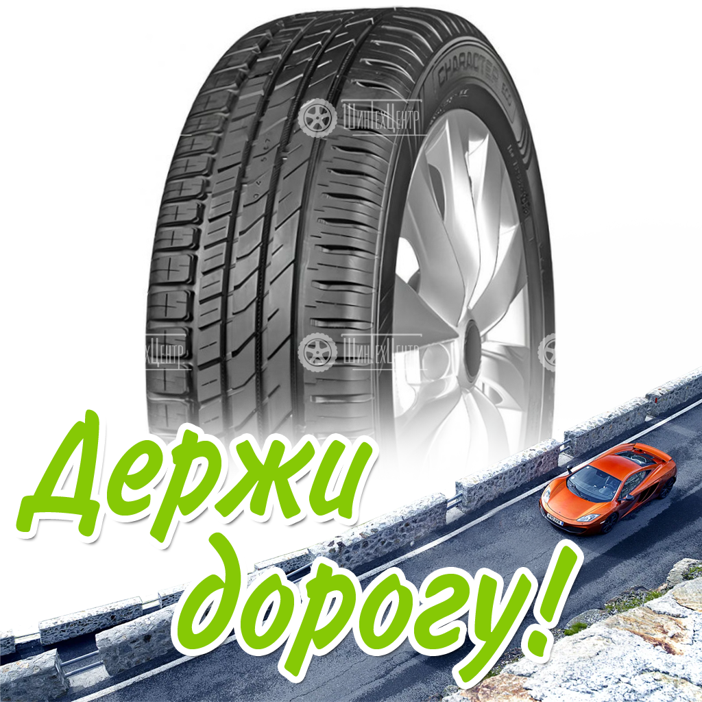 Шина 205/60R16 92H Ikon Tyres Character Eco Летняя для легковых автомобилей и кроссоверов
