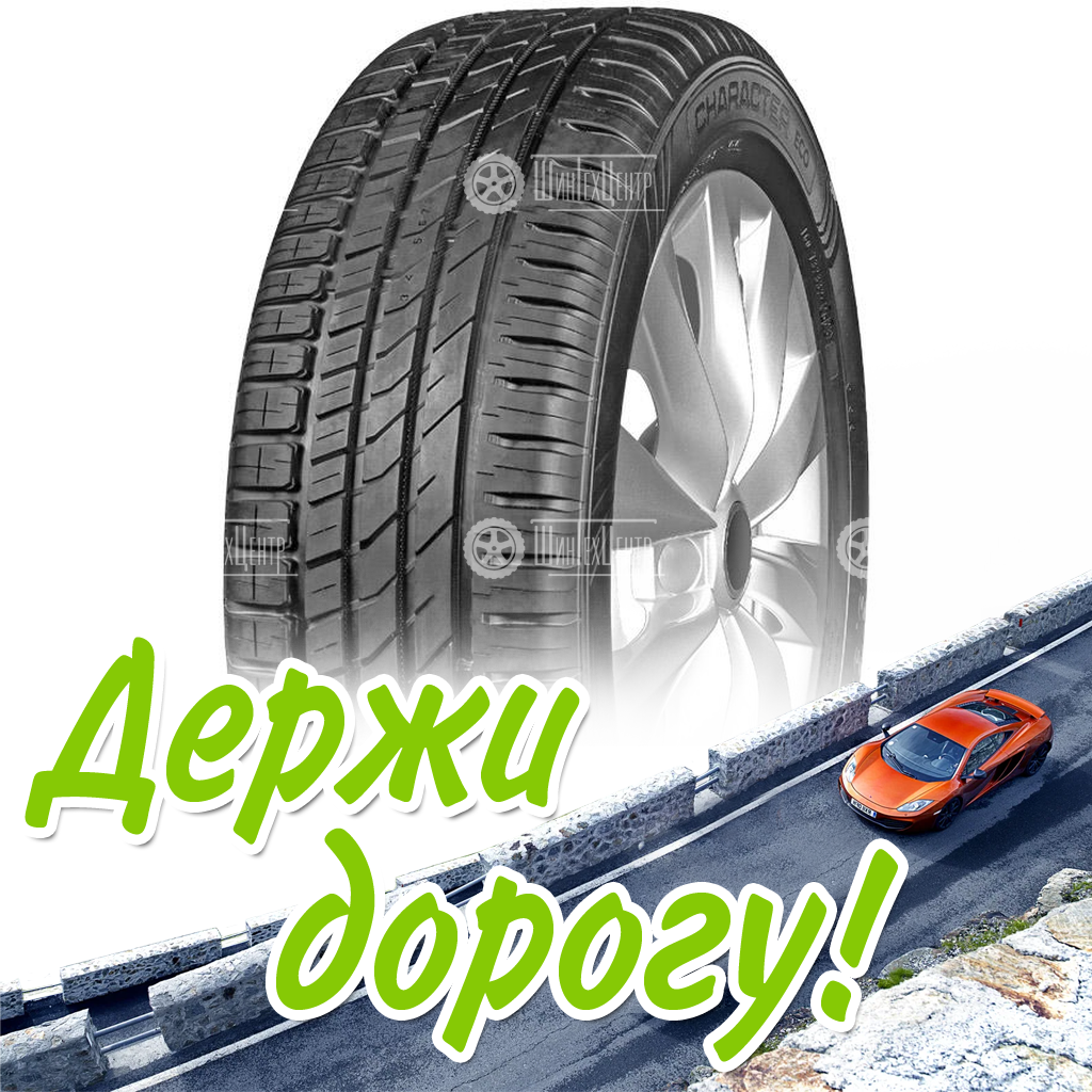 Шина Ikon 205/55 R16 Character Eco (Nordman Sx3) 91H Летняя для легковых автомобилей и кроссоверов