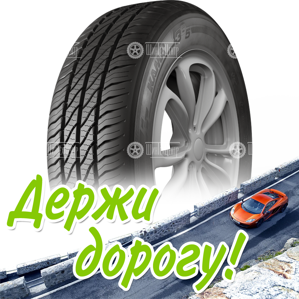 Шина 205/55R16 91H Кама 365 (Нк-241) Летняя для легковых автомобилей и кроссоверов