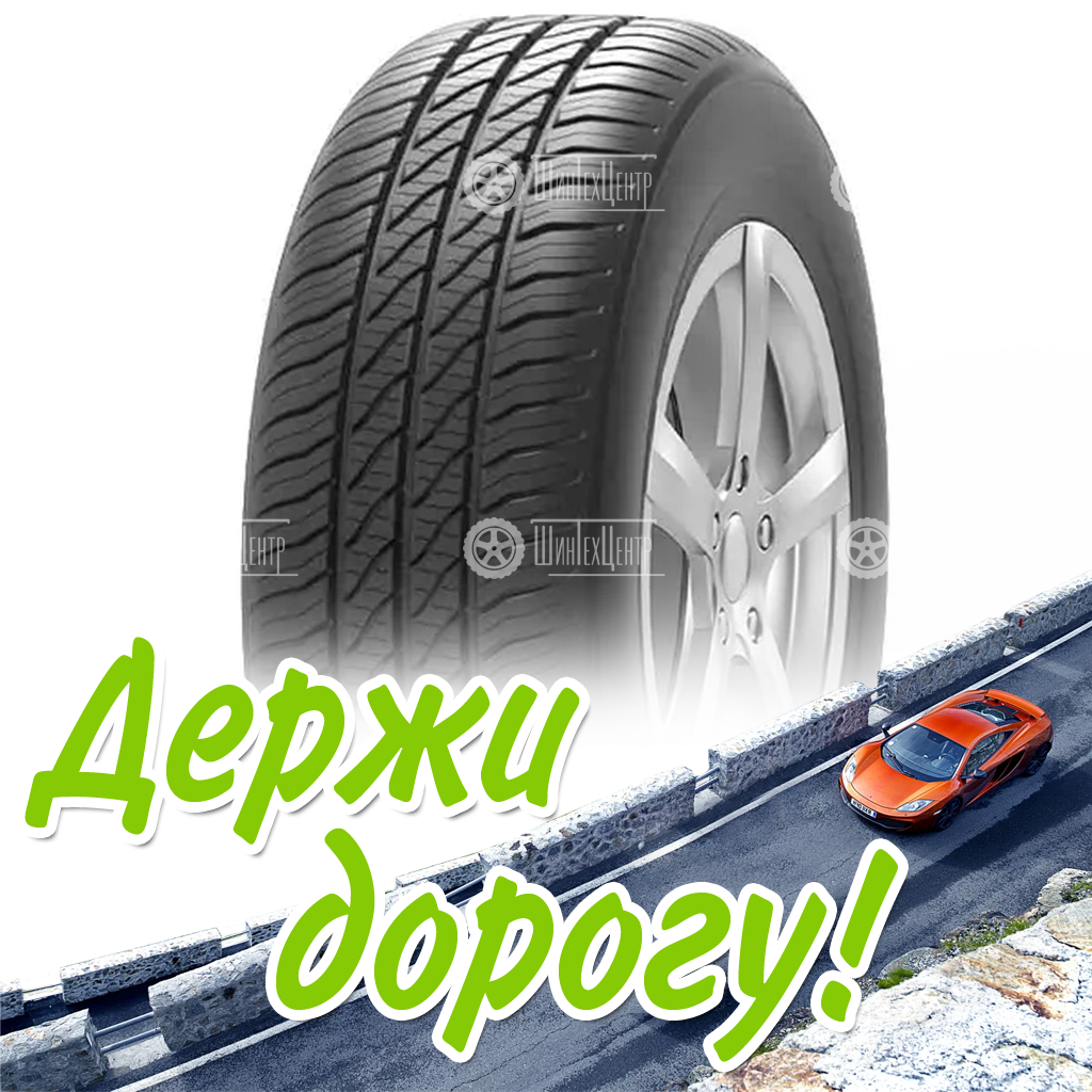 Шина 205/55R16 Нкшз Кама 365 91 H Летняя для легковых автомобилей и кроссоверов