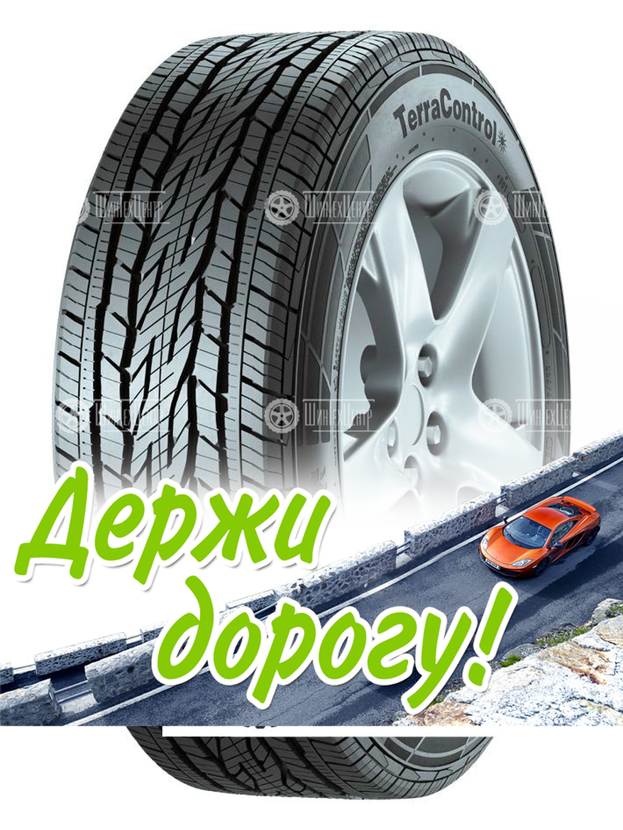 Шина Gislaved 215/50 R17 Terracontrol 91H Летняя для легкого авто и кроссоверов