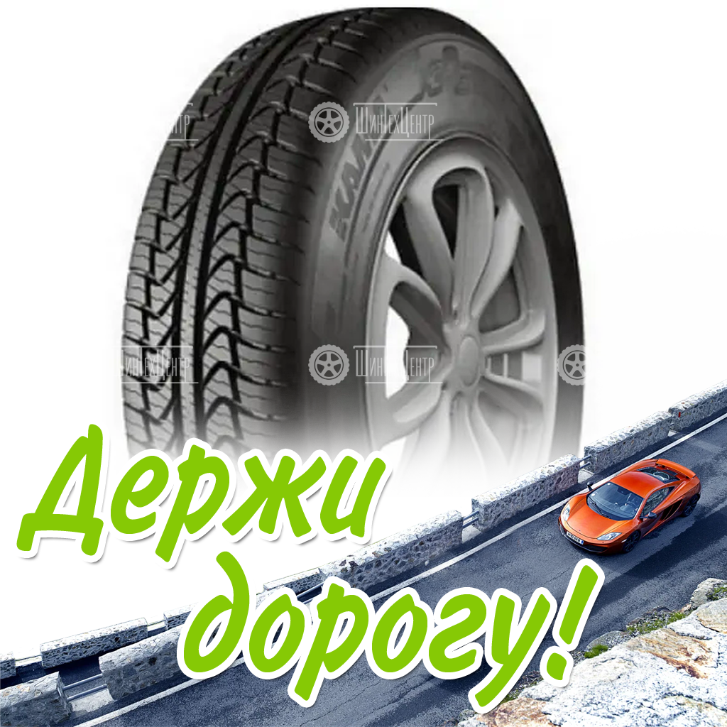 Шина 185/75R16 Нкшз Кама 365 (Нк-242) 97 T Всесезонная для легковых автомобилей и кроссоверов