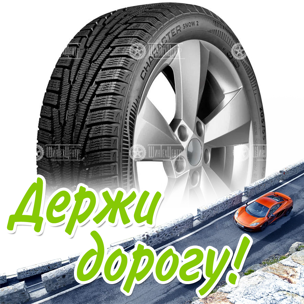 Шины Ikon 225/45 R19 Character Snow 2 (Nordman Rs2) 96T Зимняя для легковых автомобилей и кроссоверов