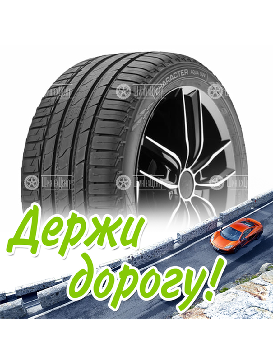 Шина 265/65R17 Ikon Tyres Character Aqua Suv 112 H Летняя для легкого авто и кроссоверов