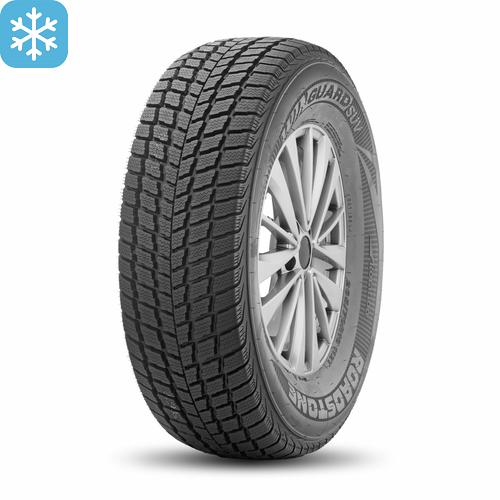 Шина Roadstone 255/50/19 V 107 Winguard Suv