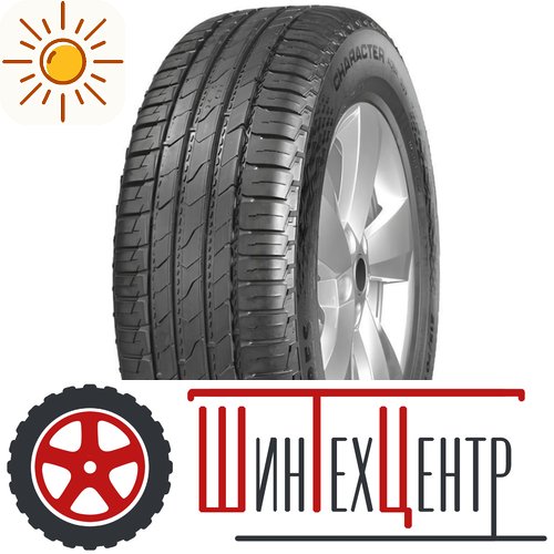 Шина 235/55R18 100V Ikon Tyres Character Aqua Suv