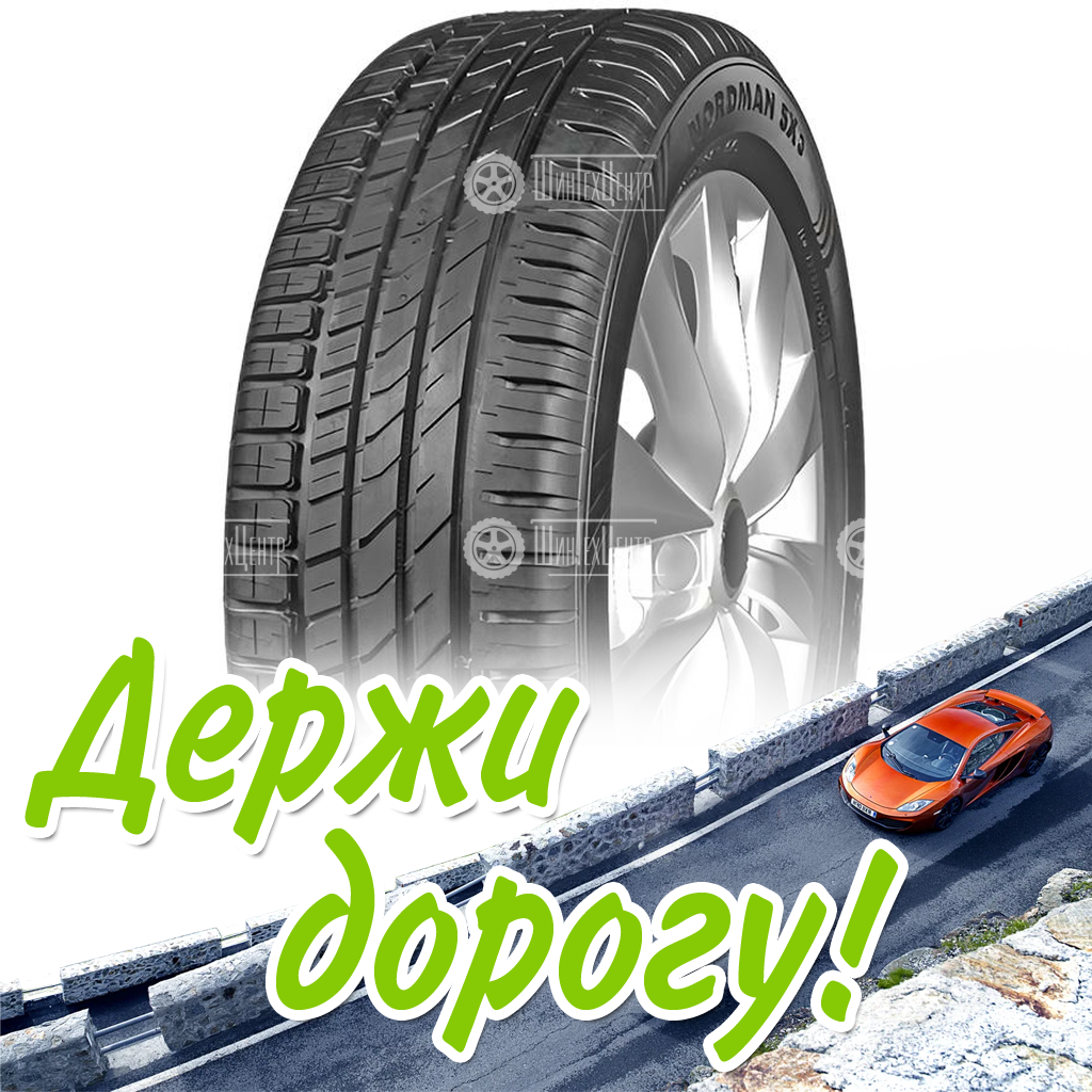 Шина Ikon 195/55 R16 Nordman Sx3 (Character Eco) 91H Летняя для легковых автомобилей и кроссоверов