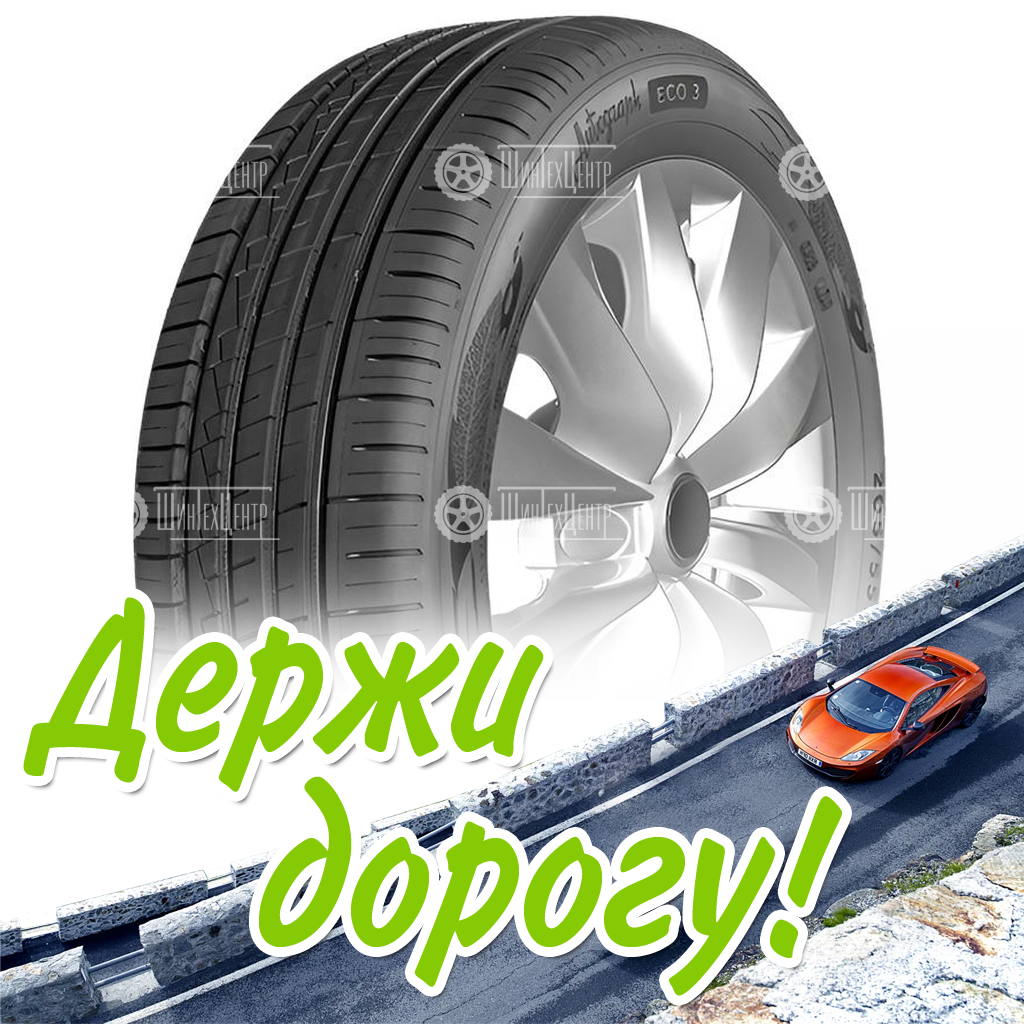 Шина Ikon 205/55 R16 Autograph Eco 3 94H Летняя для легковых автомобилей и кроссоверов